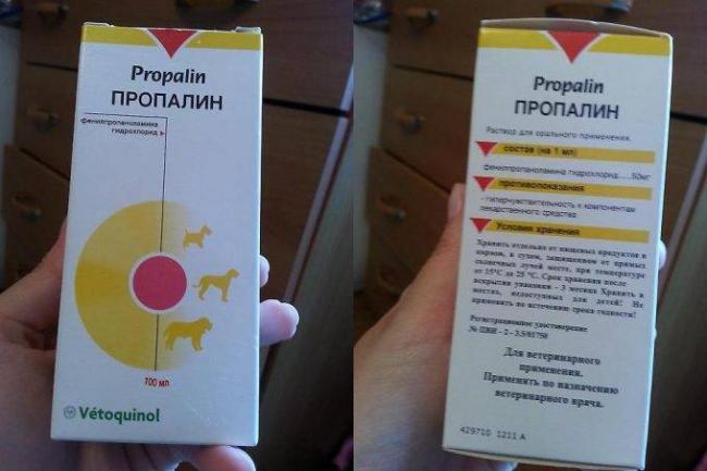 Лекарство Пропалин поможет вылечить недержание мочи у собаки