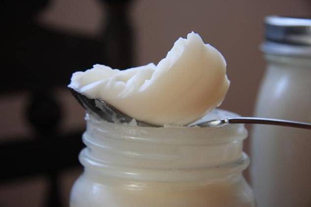 Собачий жир: лечебные свойства, применение и противопоказания