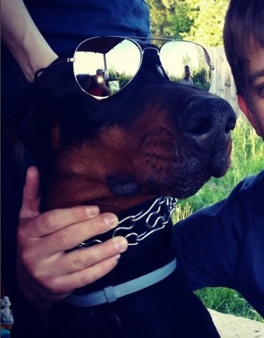 Москва, изониазид - изониазид инструкция по применению для собак - запись пользователя ❅юлька❅ (lusunja) в сообществе домашние животные в категории болезни любимцев - babyblog.ru