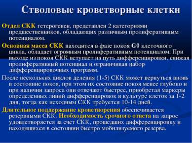 Что такое стволовые клетки и зачем они нужны?