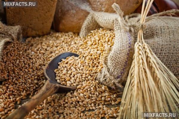 Рецепты овсяного молока от кашля