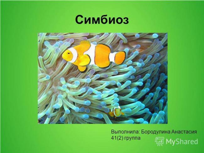 Бактерии и их значение в жизни растений