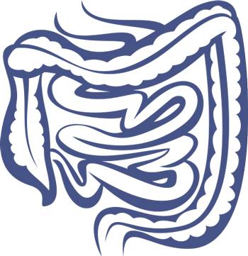 Бактерии для восстановления кишечника и желудка