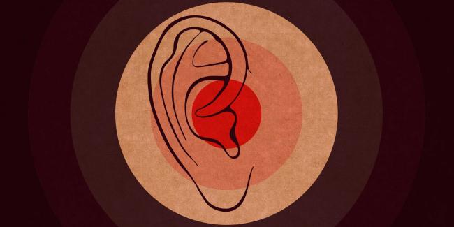 Роль бактерий в жизни человека. полезные бактерии