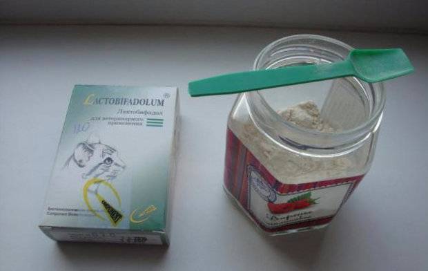 Лактобифадол для собак