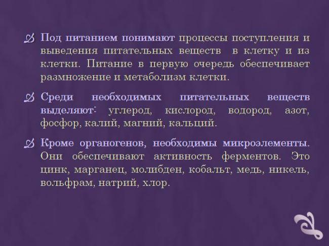 Бактерии паразиты — бактерии в организме человека, и их взаимодействие || что вызывают бактерии паразиты