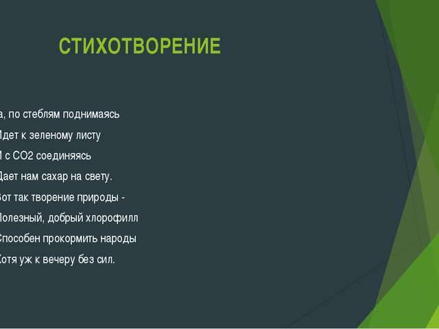 Распространение и значение бактерий в природе