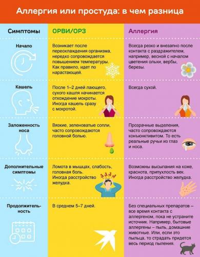 Как отличить грипп от простуды? грипп и простуда: основные отличия