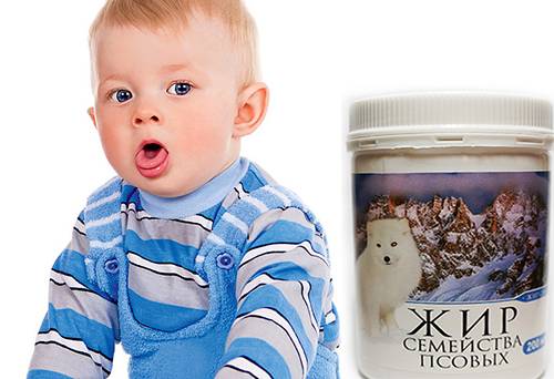 Собачий жир лечебные свойства и применение