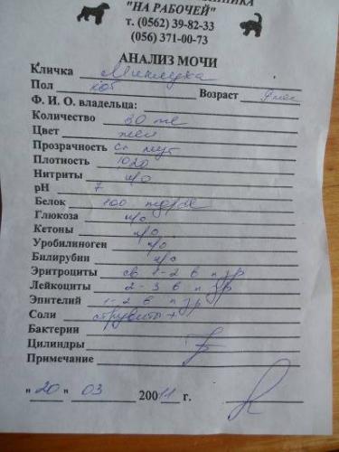 Источники бактерий вокруг человека и внутри него