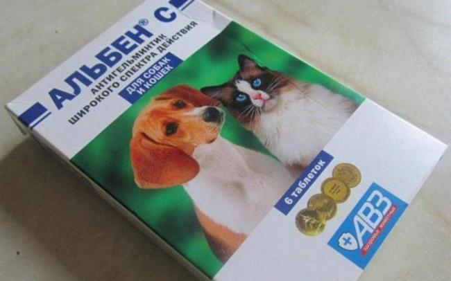 Альбен описание, характеристика и инструкция по применению препарата для кошек