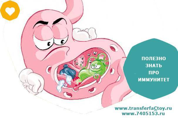 Эта странная хеликобактер пилори и как ее лечить