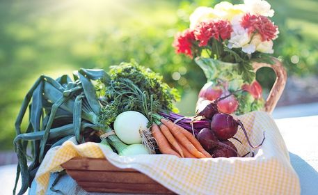 Французская диета для похудения: меню, отзывы и результаты - минус 10 кг легко