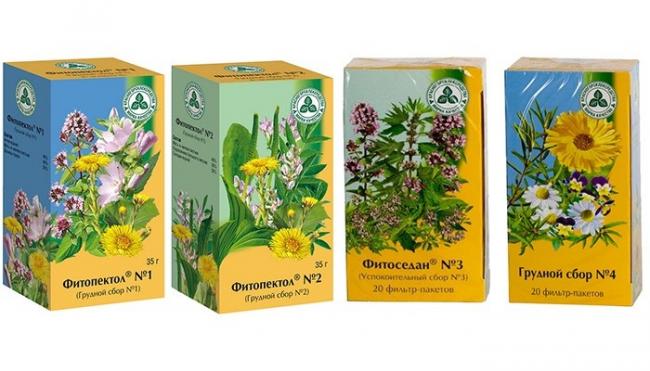 Лекарственные растения при беременности - mama.ru