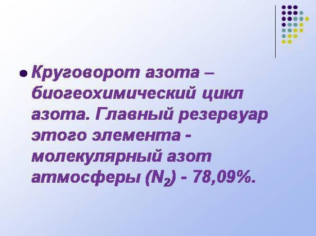 Круговорот азота