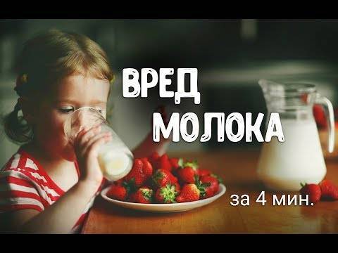 Можно ли пить сырое молоко и чем это опасно
