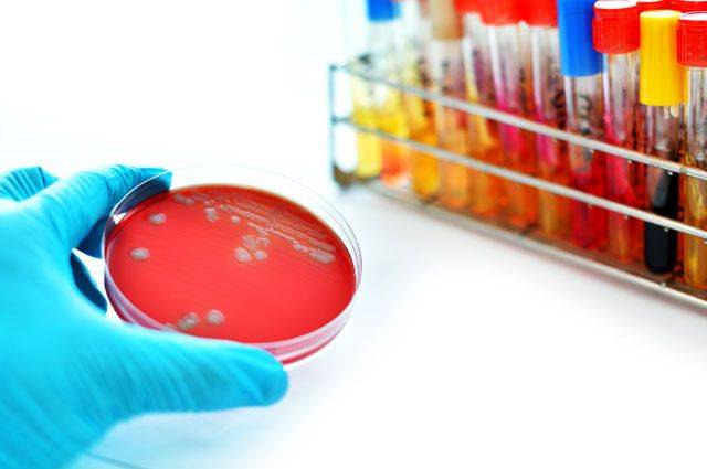 Как ученые готовятся к миру без антибиотиков? - hi-news.ru