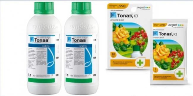 «топаз»: характеристики и описание фунгицида