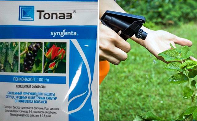 Фунгицид топаз