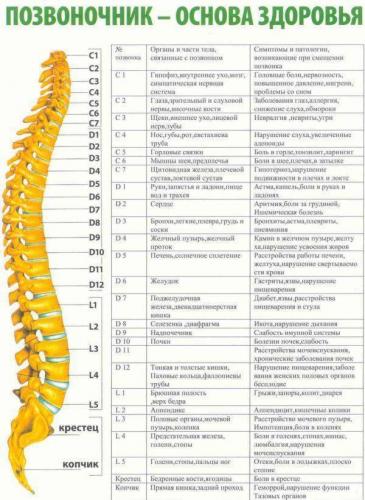 Что лучше узи или снимок позвоночника?
