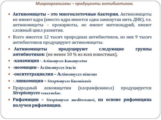 Натуральные антибиотики — потенциальное средство от резистентных бактерий