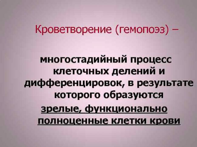 Стволовые клетки растений