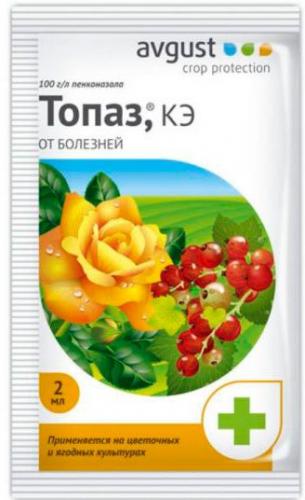 Фунгицид топаз: инструкция по применению средства для различных культур