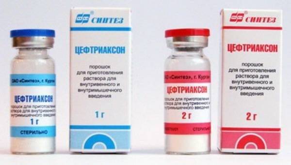 Цефтриаксон при пневмонии: сколько дней колоть, дозировка