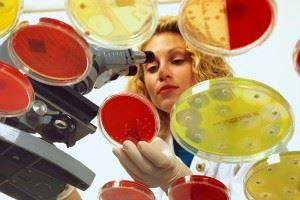 Тинкториальные свойства бактерий. методы окраски