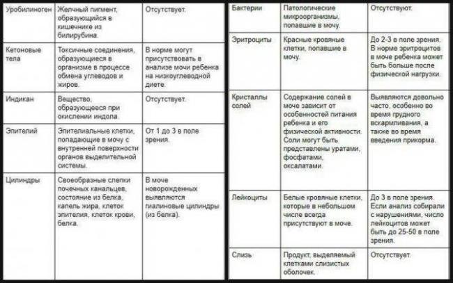 Причины и методы лечения бактериурии