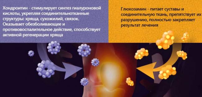 Флекс про - капсулы на растительной основе: инструкция, показания, отзывы