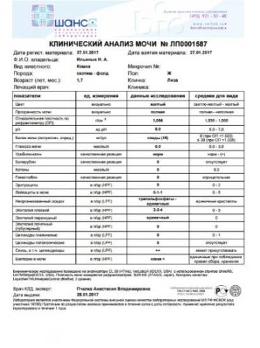 Небольшое кол-во бактерий в моче - бактерии в незначительном количестве в моче - запись пользователя ирина веду закупку kuoma (office-irina) в сообществе благополучная беременность в категории анализы - babyblog.ru