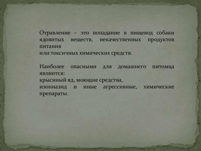 Изониазид для собак: инструкция по применению, лекарство от туберкулеза