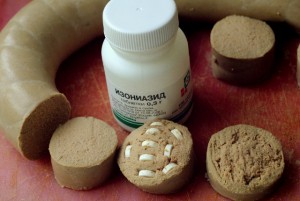 Отравление изониазидом у собак: скорая помощь