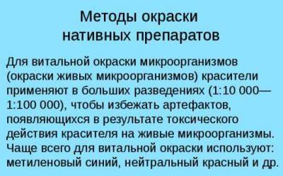 Тинкториальные свойства бактерий. методы окраски