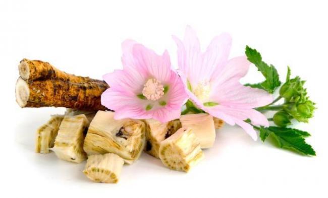 Как развести мукалтин с таблетками от кашля