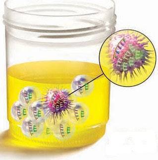 Фазы жизни и роста бактерий