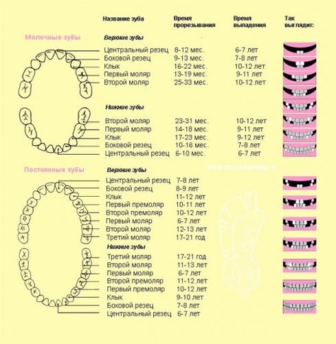 Отзывы о препарате корилип