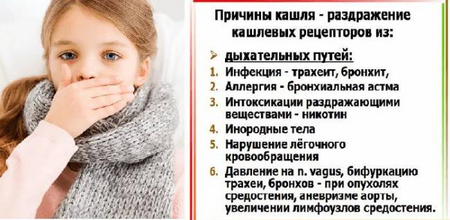 Кашель у ребенка: причины и лечение. утренний кашель с мокротой у ребенка