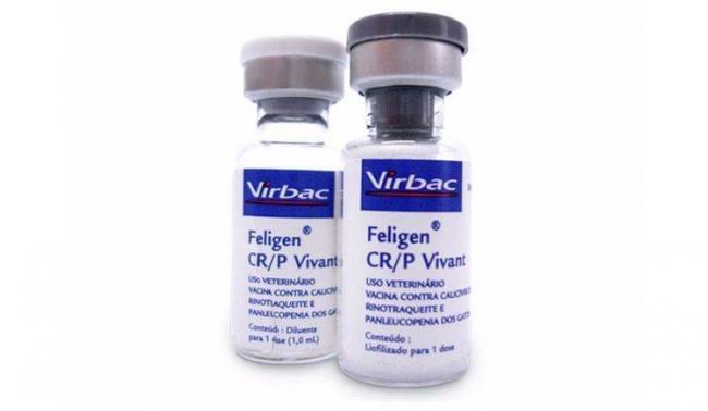 Глобфел-4 для кошек защита питомца от серьёзных инфекций