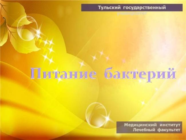 Бактерии-паразиты: виды и чем они опасны | все о паразитах