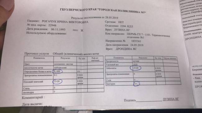 Анализ мочи на бакпосев: что показывает, расшифровка, как сдавать