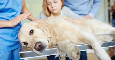 К чему приводит отравление изониазидом и как снять его последствия