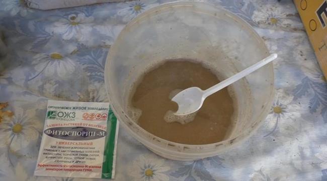 Фитоспорин