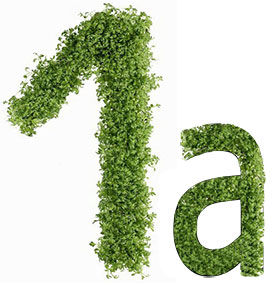 Лечебная диета №0: меню, рецепты и что можно есть | food and health