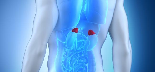 Дермовейт мазь. инструкция по применению, цена, отзывы, аналоги