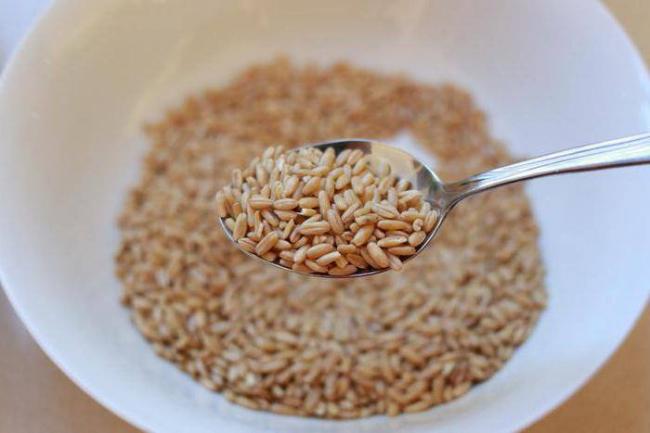 Овес с молоком от кашля