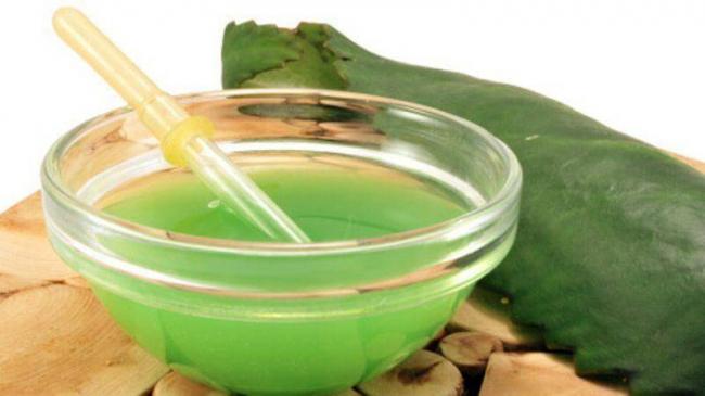 Каланхоэ при насморке