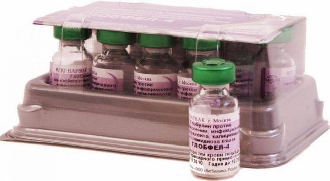 Глобфел-4 для кошек защита питомца от серьёзных инфекций