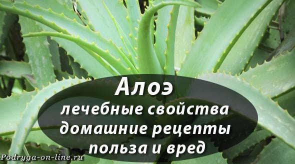 Изготовление и применение настойки ландыша